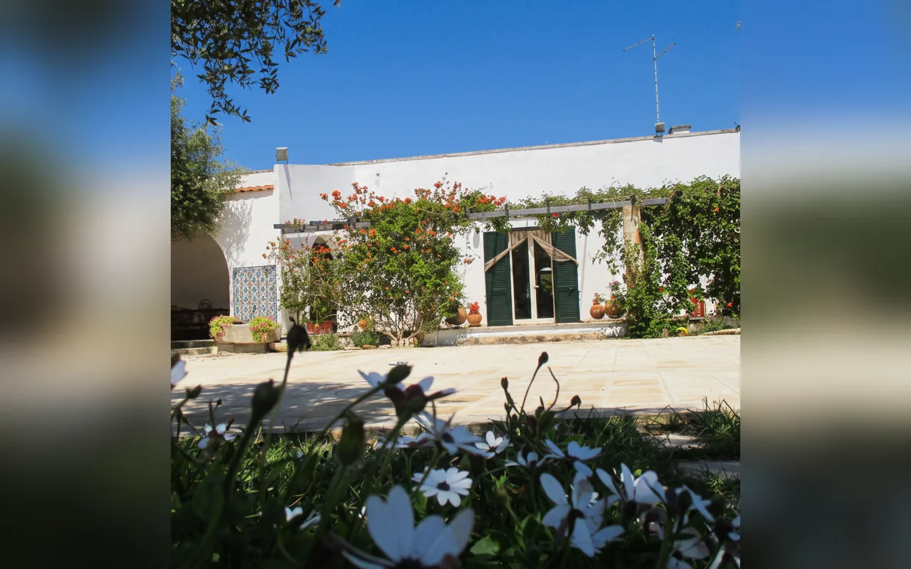 Esterni di Masseria San Vito, COPERTINO (Puglia) (foto 3)