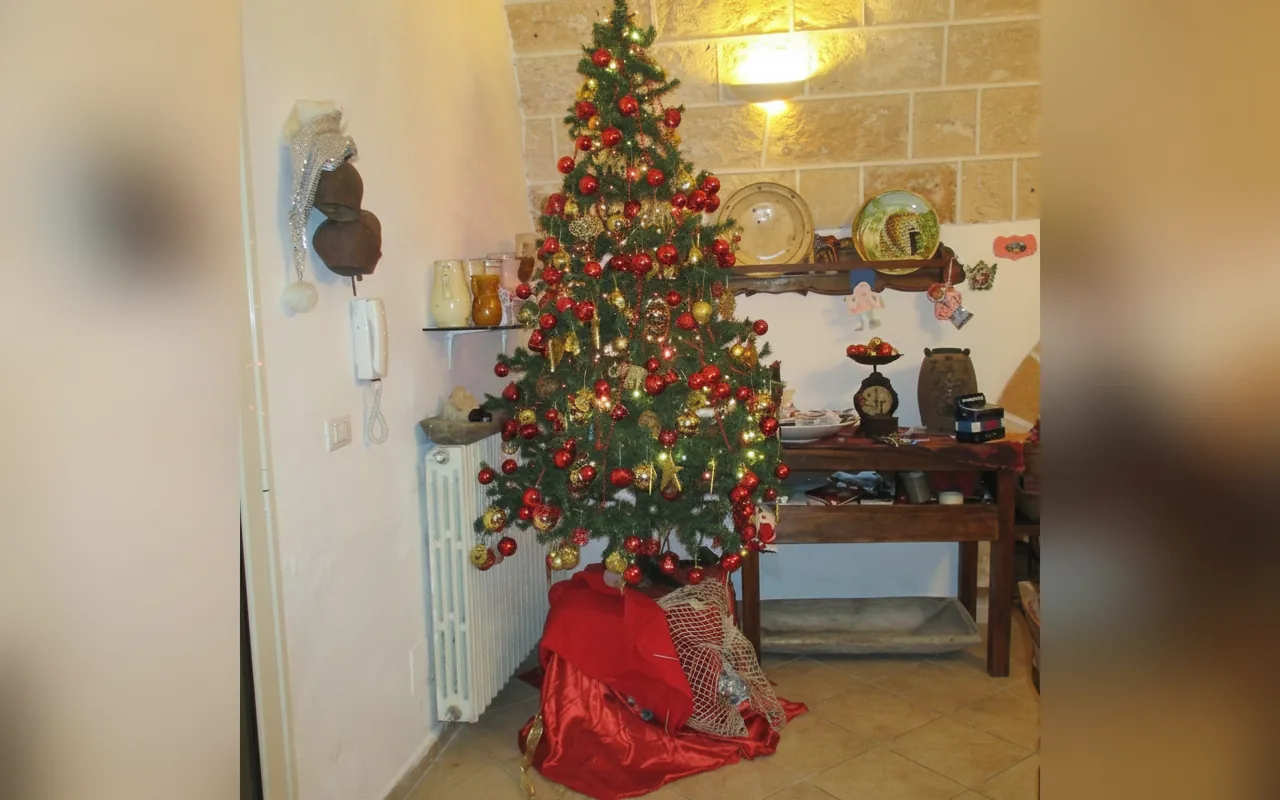 Masseria San Vito, struttura a COPERTINO (Puglia) (foto 45)